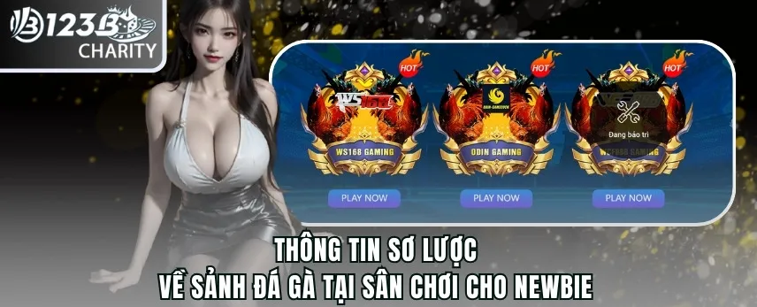 Thông tin sơ lược về sảnh đá gà tại sân chơi cho newbie
