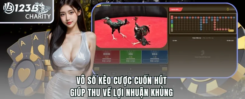 Vô số kèo cược cuốn hút giúp thu về lợi nhuận khủng