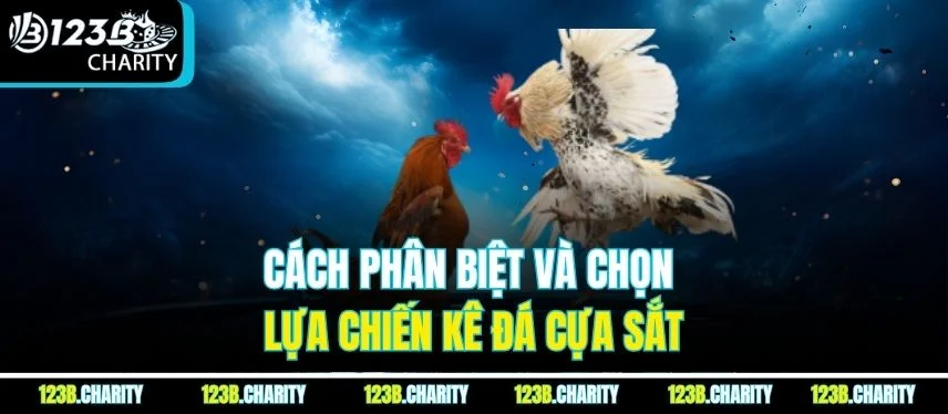 Cách phân biệt và chọn lựa chiến kê đá cựa sắt