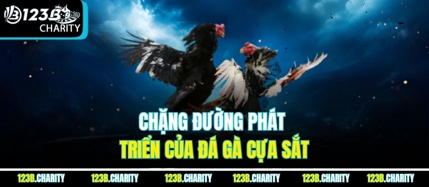 Chặng đường phát triển của đá gà cựa sắt