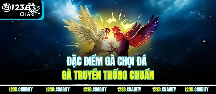 Đặc điểm gà chọi đá gà truyền thống chuẩn