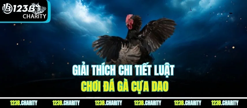 Giải thích chi tiết luật chơi đá gà cựa dao