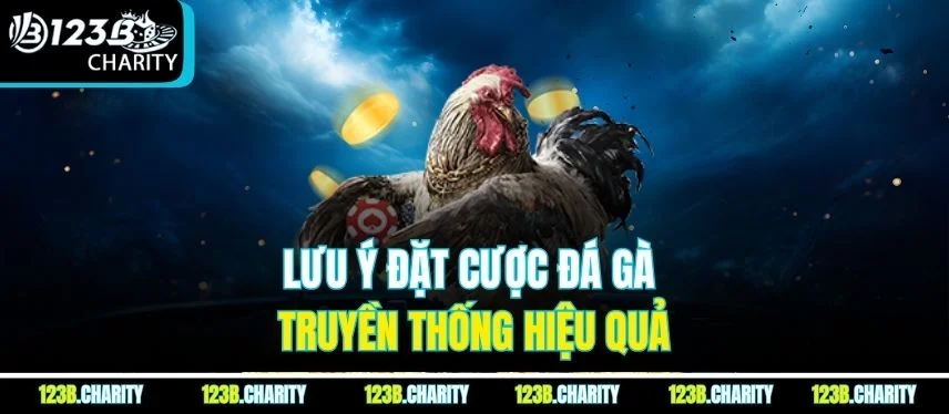 Lưu ý đặt cược đá gà truyền thống hiệu quả