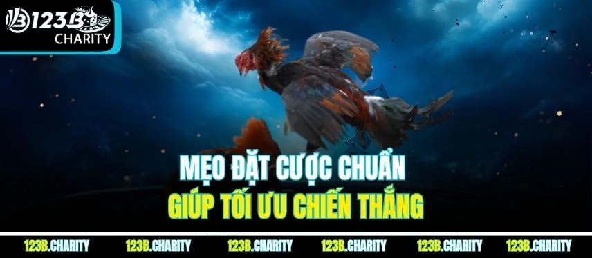 Mẹo đặt cược chuẩn giúp tối ưu chiến thắng