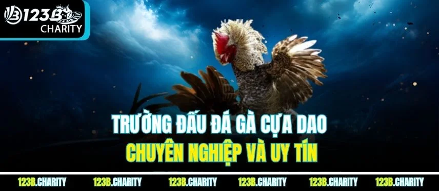 Trường đấu đá gà cựa dao chuyên nghiệp và uy tín