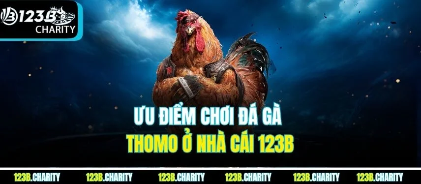 Ưu điểm chơi đá gà Thomo ở nhà cái 123B
