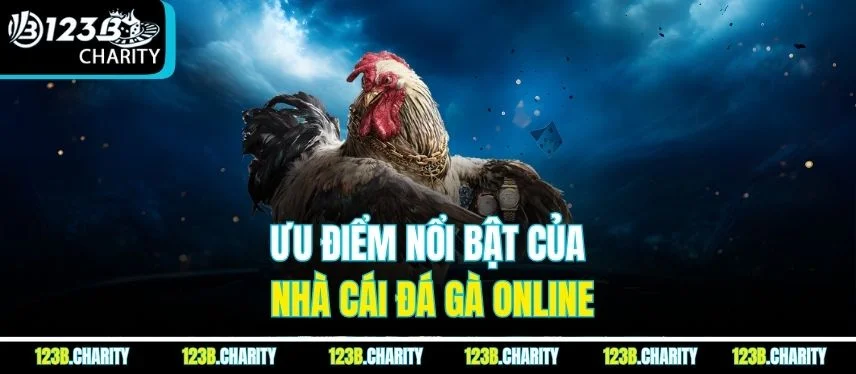Ưu điểm nổi bật của nhà cái đá gà online