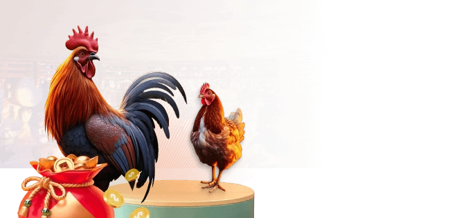 tỉ lệ hoàn trả 123b